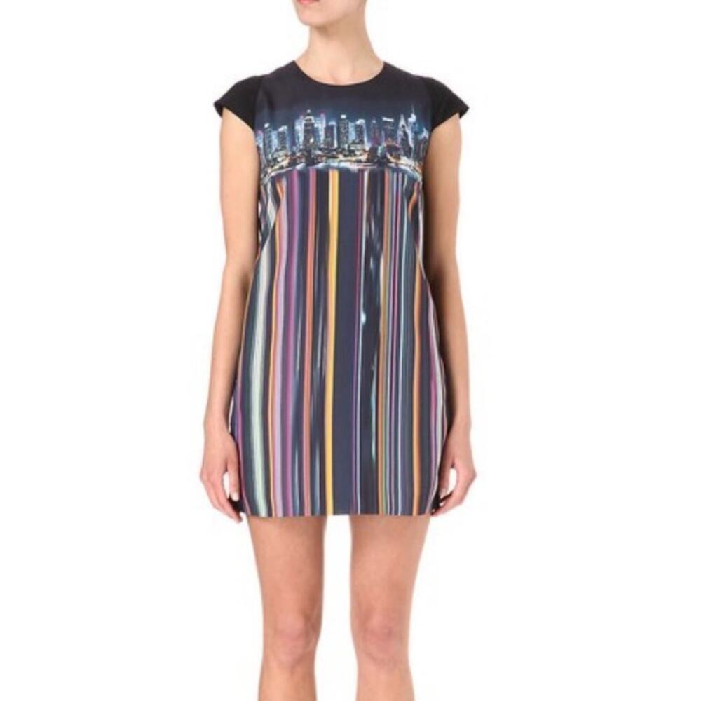 Ted Baker London Nula Skyline Dress Size 0